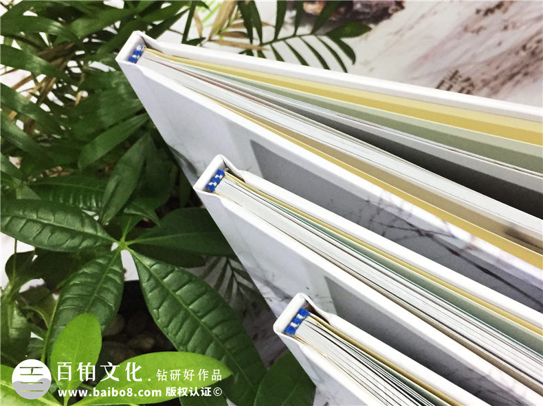 高中畢業(yè)冊(cè)制作：高考之際 制作2020年的同學(xué)畢業(yè)紀(jì)念冊(cè)！第2張-宣傳畫冊(cè),紀(jì)念冊(cè)設(shè)計(jì)制作-價(jià)格費(fèi)用,文案模板,印刷裝訂,尺寸大小