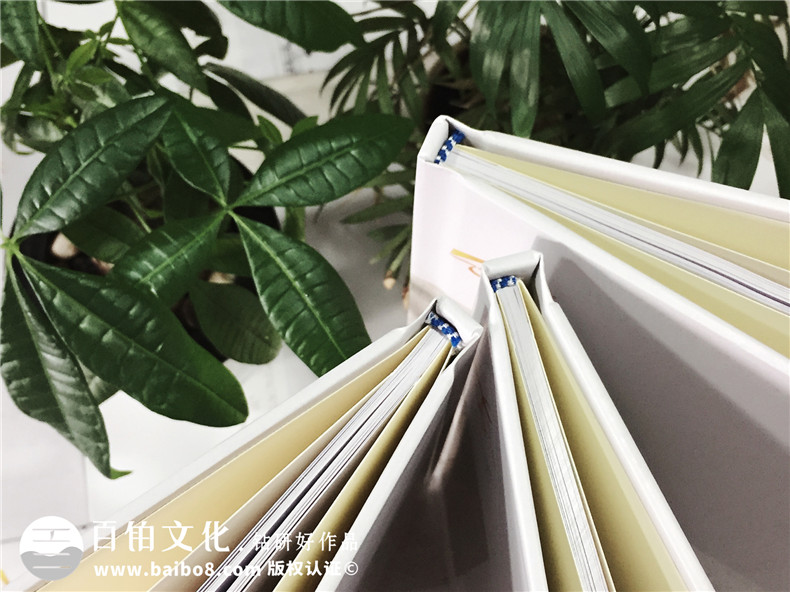 畢業(yè)之際給同學(xué)的畢業(yè)禮物 制作一本畢業(yè)相冊紀(jì)念青春記憶第2張-宣傳畫冊,紀(jì)念冊設(shè)計(jì)制作-價(jià)格費(fèi)用,文案模板,印刷裝訂,尺寸大小