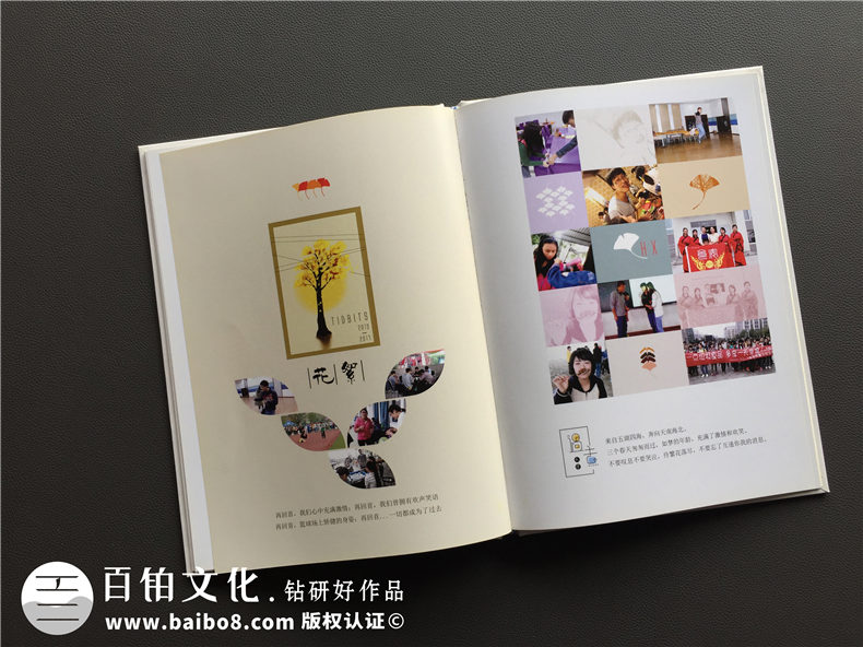 參考幾組畢業(yè)紀(jì)念冊(cè)模板圖片欣賞 原創(chuàng)設(shè)計(jì)展現(xiàn)個(gè)性化定制第12張-宣傳畫(huà)冊(cè),紀(jì)念冊(cè)設(shè)計(jì)制作-價(jià)格費(fèi)用,文案模板,印刷裝訂,尺寸大小