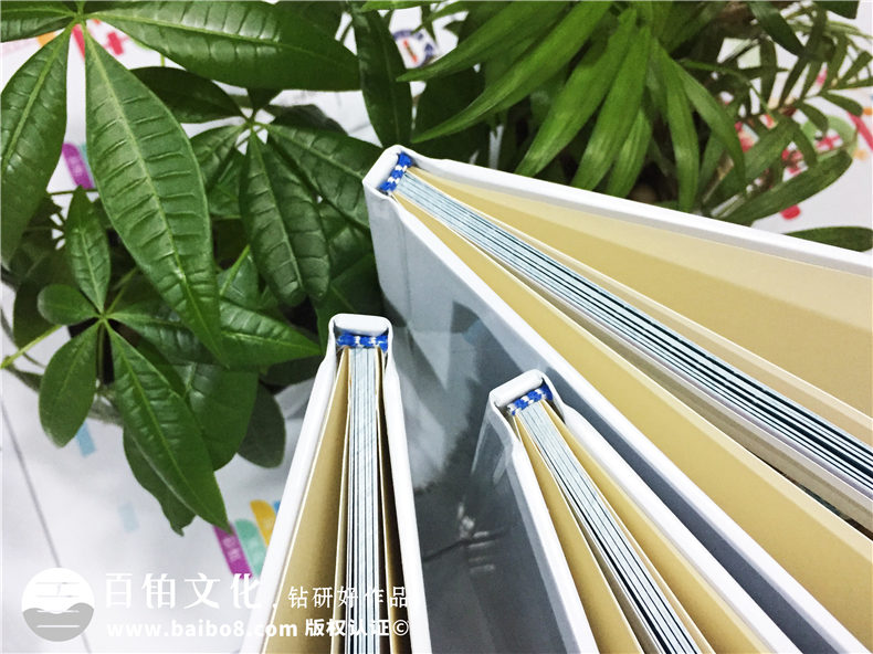 幼兒園畢業(yè)紀(jì)念相冊(cè)-金蘋果大班畢業(yè)留念冊(cè)定制
