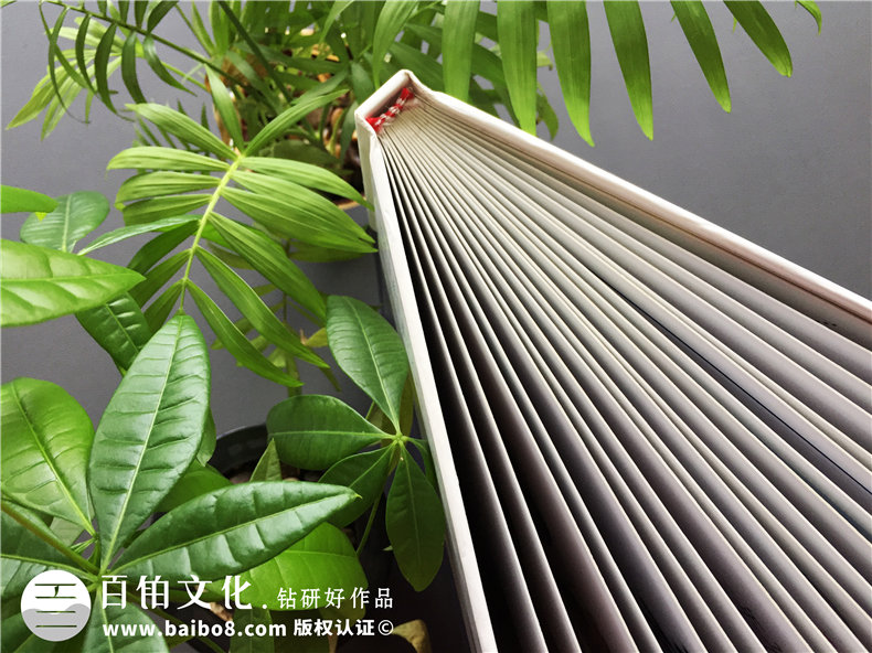 20周年同學(xué)聚會紀(jì)念冊-經(jīng)典同學(xué)會相冊樣本-四川機(jī)電職業(yè)技術(shù)學(xué)院