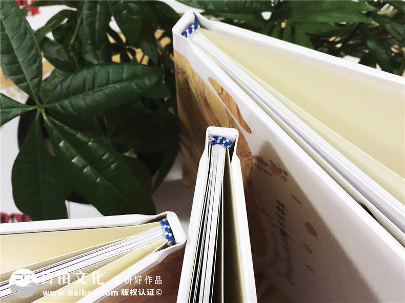 聚會紀(jì)念冊之個性同學(xué)錄紀(jì)念冊設(shè)計