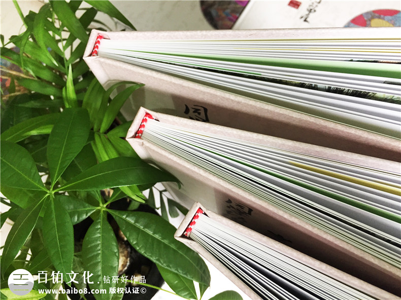 重慶石油校-22周年同學(xué)聚會紀念冊-同學(xué)會相冊