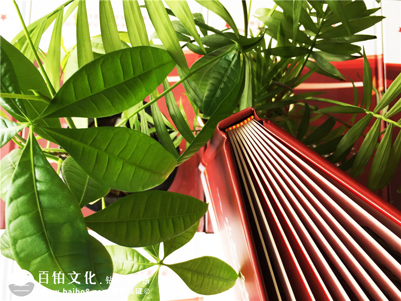二十年戰(zhàn)友聚會紀(jì)念冊應(yīng)該如何設(shè)計第2張-宣傳畫冊,紀(jì)念冊設(shè)計制作-價格費(fèi)用,文案模板,印刷裝訂,尺寸大小