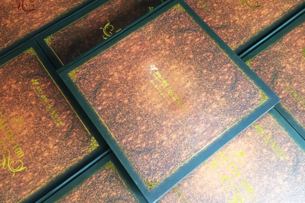 企業(yè)年會紀念冊-公司表彰大會相冊-百萬精英珍藏