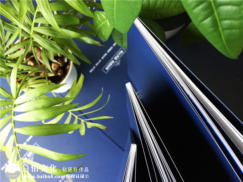 「案例」電商平臺企業(yè)宣傳畫冊設(shè)計(jì)-如何制作互聯(lián)網(wǎng)公司產(chǎn)品宣傳冊