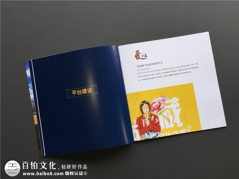 「案例」電商平臺企業(yè)宣傳畫冊設(shè)計(jì)-如何制作互聯(lián)網(wǎng)公司產(chǎn)品宣傳冊