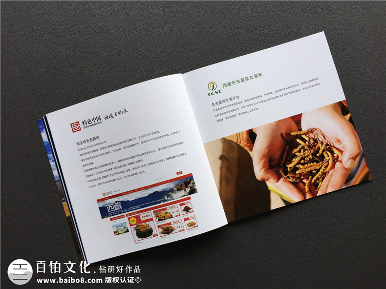 企業(yè)宣傳冊(cè)與宣傳冊(cè)設(shè)計(jì)的辯證關(guān)系 要求企業(yè)重視宣傳冊(cè)設(shè)計(jì)第3張-宣傳畫(huà)冊(cè),紀(jì)念冊(cè)設(shè)計(jì)制作-價(jià)格費(fèi)用,文案模板,印刷裝訂,尺寸大小