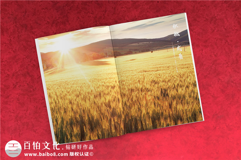 企業(yè)宣傳畫冊設計規(guī)范-優(yōu)秀的企業(yè)畫冊設計要點第7張-宣傳畫冊,紀念冊設計制作-價格費用,文案模板,印刷裝訂,尺寸大小