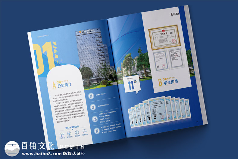 品牌畫冊(cè)的視覺設(shè)計(jì)-品牌策劃和畫冊(cè)排版第2張-宣傳畫冊(cè),紀(jì)念冊(cè)設(shè)計(jì)制作-價(jià)格費(fèi)用,文案模板,印刷裝訂,尺寸大小