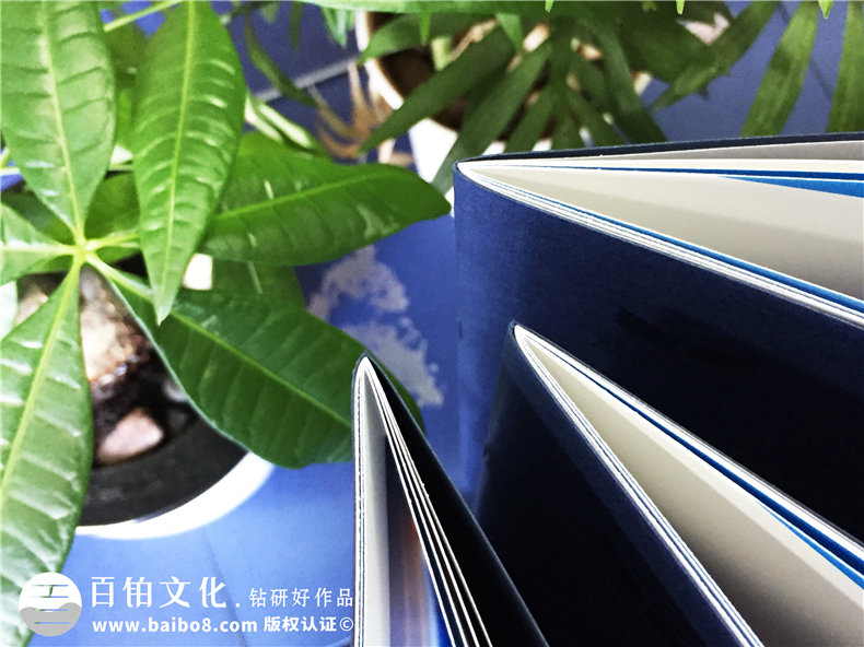 水生產(chǎn)與電力供應公司畫冊設計 電力業(yè)、供水公司的畫冊制作方法！