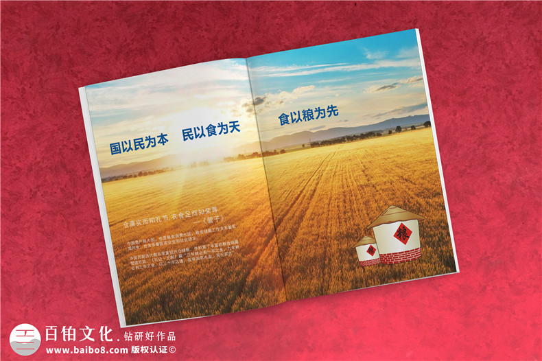 畫冊(cè)設(shè)計(jì)公司應(yīng)該有這樣的畫冊(cè)設(shè)計(jì)理念 專業(yè)畫冊(cè)設(shè)計(jì)就這么設(shè)計(jì)！第2張-宣傳畫冊(cè),紀(jì)念冊(cè)設(shè)計(jì)制作-價(jià)格費(fèi)用,文案模板,印刷裝訂,尺寸大小