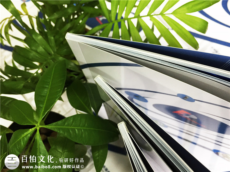 畫冊定制推薦方法-定制制作畫冊的方法要點(diǎn)第2張-宣傳畫冊,紀(jì)念冊設(shè)計制作-價格費(fèi)用,文案模板,印刷裝訂,尺寸大小