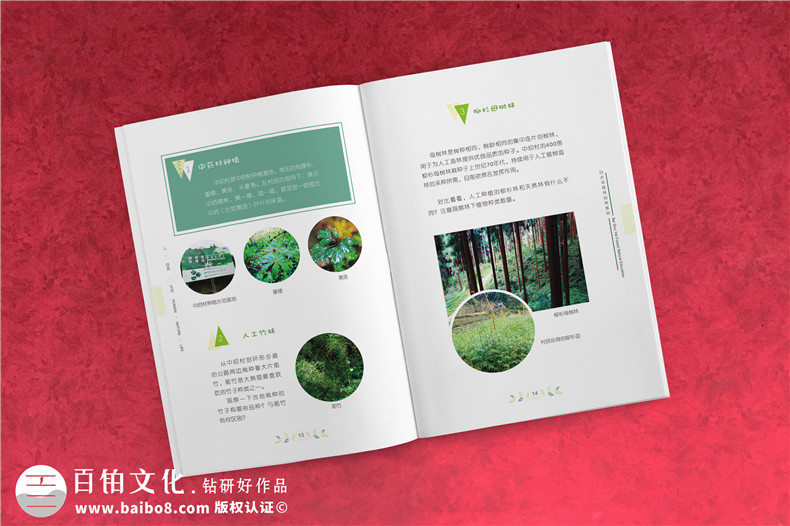 民宿宣傳冊(cè),一張?zhí)岣呙袼抻唵温实臓I(yíng)銷(xiāo)名片