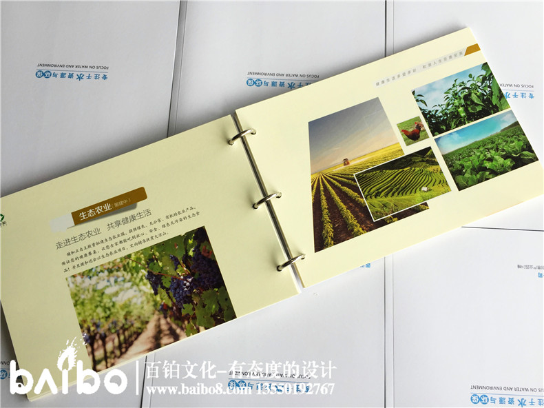 專業(yè)的畫(huà)冊(cè)設(shè)計(jì)公司制作企業(yè)畫(huà)冊(cè)的優(yōu)勢(shì)第2張-宣傳畫(huà)冊(cè),紀(jì)念冊(cè)設(shè)計(jì)制作-價(jià)格費(fèi)用,文案模板,印刷裝訂,尺寸大小