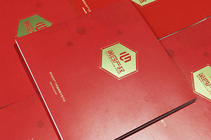 金融公司畫冊(cè)設(shè)計(jì) 金融行業(yè)宣傳冊(cè)設(shè)計(jì)要怎么做才好呢？