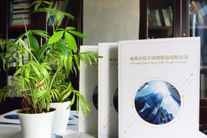 企業(yè)畫(huà)冊(cè)設(shè)計(jì)方法分享 專業(yè)的畫(huà)冊(cè)設(shè)計(jì)公司致力于提升企業(yè)品牌！