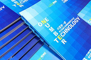 企業(yè)級畫冊設計 選擇專業(yè)的平面設計公司很重要！
