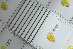公司宣傳彩頁(yè)制作 怎么提升企業(yè)彩頁(yè)設(shè)計(jì)水平？