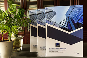 欣賞企業(yè)畫冊(cè)設(shè)計(jì)案例 分析專業(yè)的畫冊(cè)設(shè)計(jì)方法有哪些技巧？