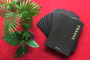 成都畫冊設(shè)計公司 具有專業(yè)的畫冊創(chuàng)意設(shè)計方向！