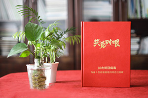 疫情紀(jì)念冊(cè) 為疫情后的醫(yī)療隊(duì)志愿者制作紀(jì)念冊(cè) 紀(jì)念不平凡！