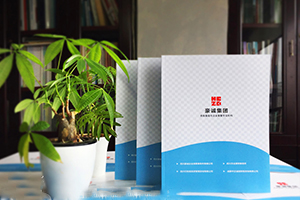 產(chǎn)品宣傳冊設計至關重要-通用的企業(yè)宣傳冊設計要素