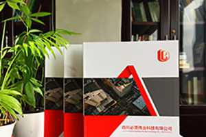 個性畫冊定制設(shè)計印刷 畫冊創(chuàng)意設(shè)計有方法！