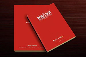 房地產(chǎn)宣傳冊(cè)設(shè)計(jì) 制作精美的房產(chǎn)畫(huà)冊(cè)宣傳企業(yè)形象