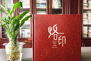 怎樣做出意義深遠(yuǎn)的個(gè)人紀(jì)念冊(cè)，個(gè)人成長(zhǎng)紀(jì)念冊(cè)制作的做法是什么？