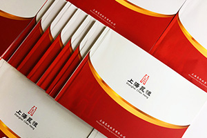 金融企業(yè)畫冊設(shè)計 金融行業(yè)宣傳冊設(shè)計要怎么做的設(shè)計方法！