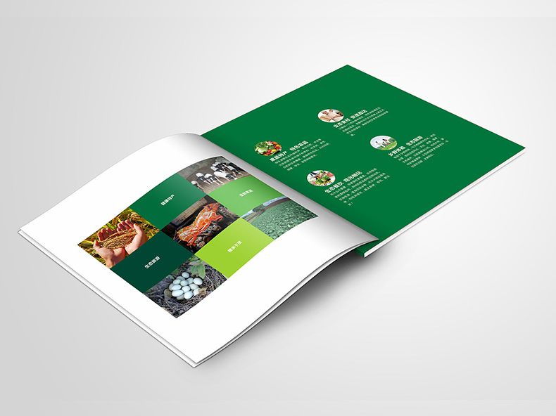 農產品加工企業(yè)畫冊設計的內容